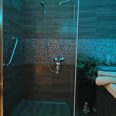 דירות Wellness Stodolni אוסטרבה מראה חיצוני תמונה