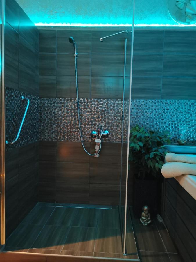 Apartment Wellness Stodolni *